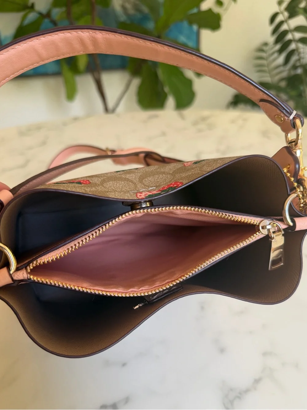 Coach Mollie Bucket Bag 22 In Signature Canvas With Strawberry Print CB602